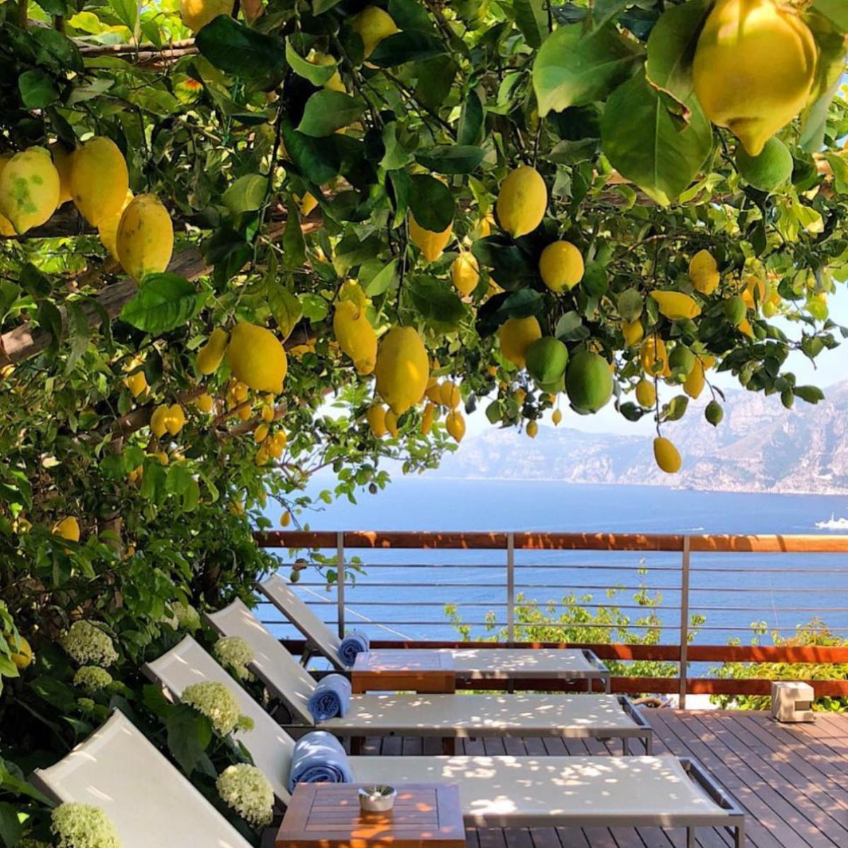a deck overlooking the sea with white lounge chairs and lemon trees
