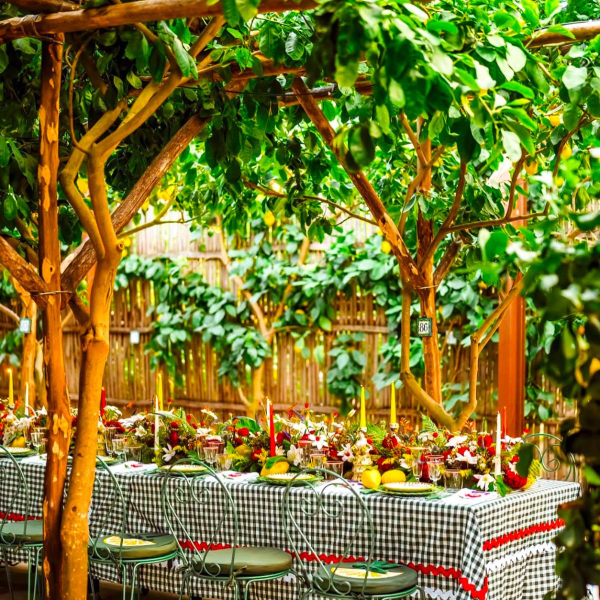 checkered table green and white table cloth surrounded by green trees