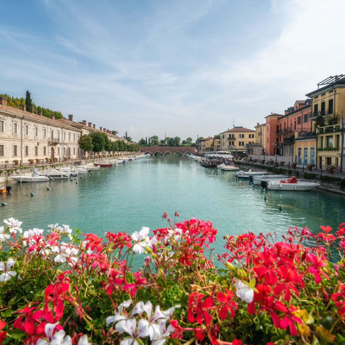 river surrounded with flowers and stone buildings