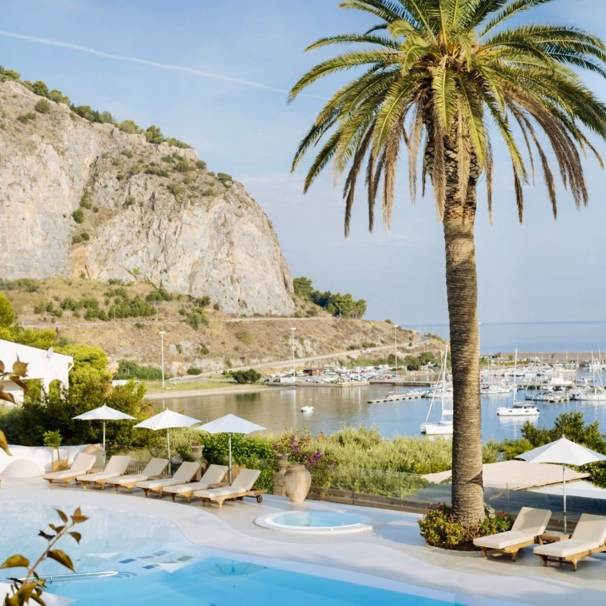 pool with lounge chairs and a big palm tree overlooking the marina