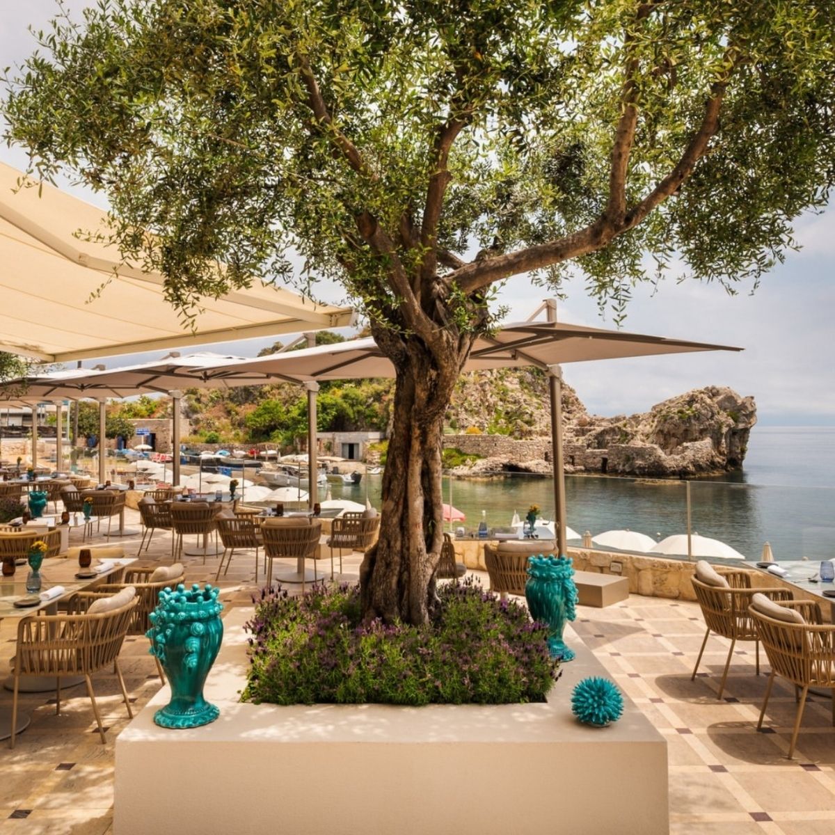 dining patio with a large tree in the center overlooking the sea