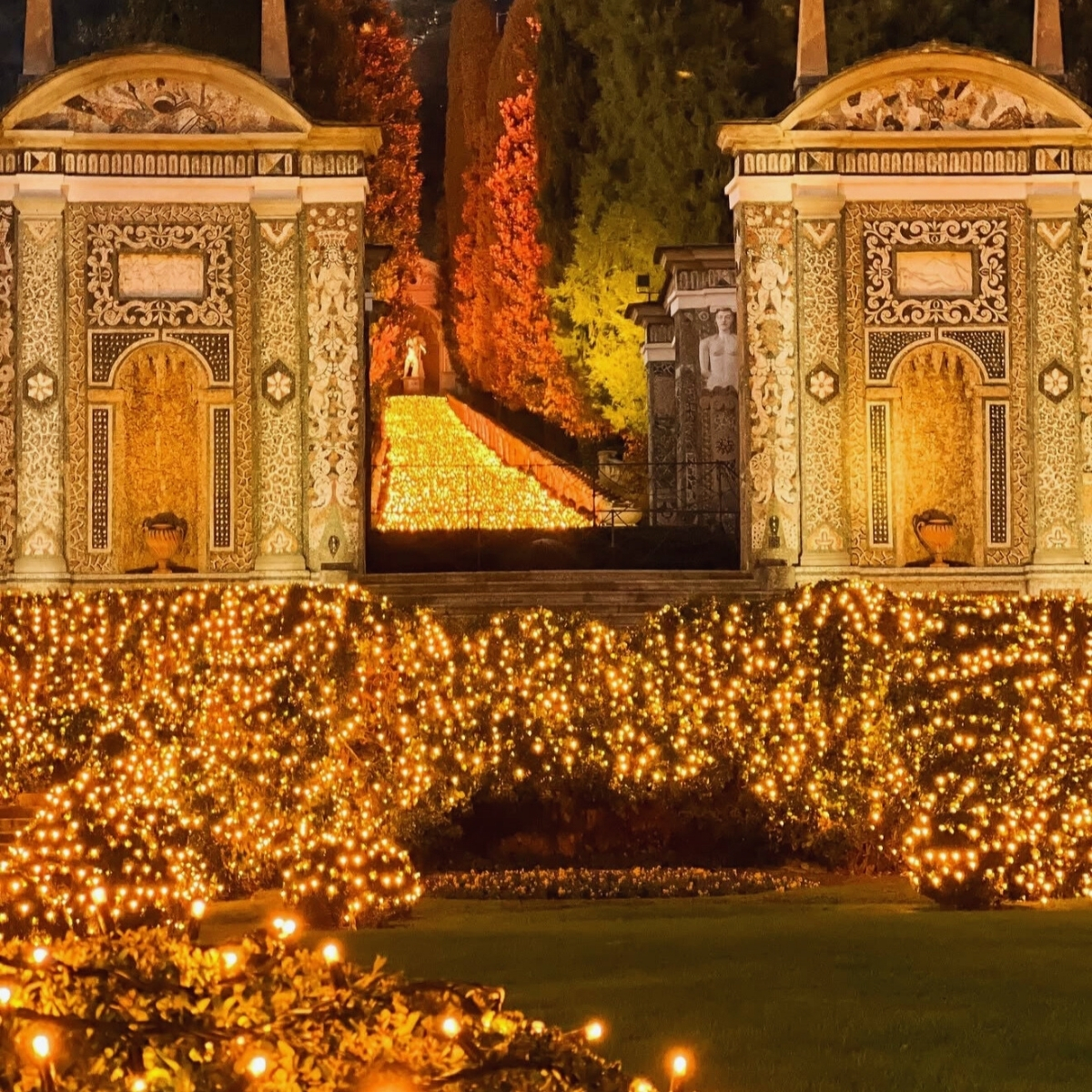 gold christmas lights covering the garden villa