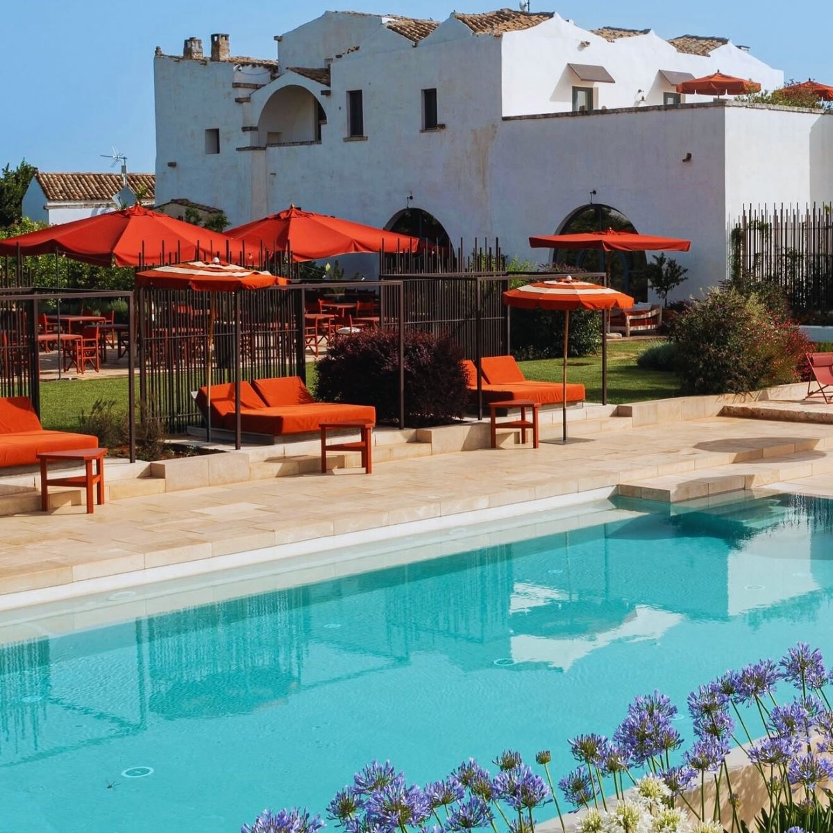 A traditional Puglian masseria farmhouse estate surrounded by ancient olive groves