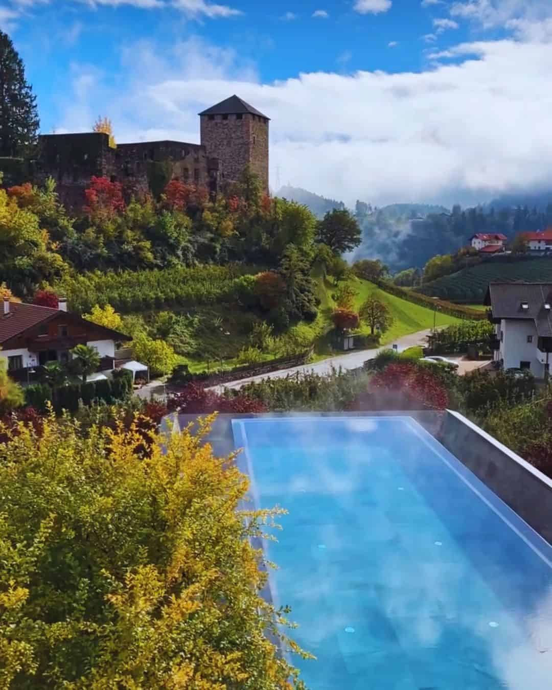 Hotel Der Waldhof Voellan Lana South Tyrol vineyard during fall grape harvest